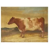 English School, Portrait of a short horn cow with farm buildings beyond, oil on canvas