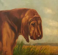 William Luker Jnr., A Bloodhound in profile, oil on canvas