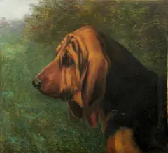 William Luker Jnr., Head and shoulder profile of a Bloodhound, oil on canvas