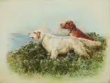 William Woodhouse, An English and an Irish Red and White Setter on the moors, oil on canvas