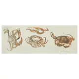 Crabs by Dame Elizabeth Blackadder Obe Ra Rsa Rsw Rwa Rgi DLitt, etching, sold Dec 2025