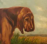 William Luker Jnr., A Bloodhound in profile, oil on canvas
