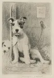 Morgan Dennis, 'Here Today, Gone Tomorrow' - Fox Terrier puppies for sale, etching