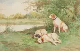 Charles Olivier de Penne, Pointers in a landscape, watercolour