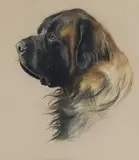 Phyllis Binet, "Warwick" - a Mastiff, pastel