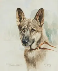 Reuben Ward Binks, 'Champion, "Marie of Nisbet"', watercolour