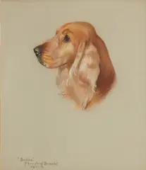 Phyllis Binet, Portrait of a Cocker Spaniel - 'Beckles (Merryleaf Brigade)', pastel