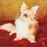 Clae Eastgate, "Harley" - a Chihuahua, oil on canvas