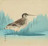 Seiko Okuhara Setsuko, A set of 3 prints to include:, Offered with a further Japanese framed print of a hawk by a different hand