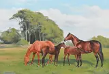 Peter Smith, Mares and Foals, oil on board
