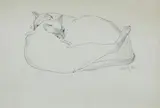 William McCance, Still Sleeping, ink and pencil
