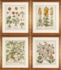 Basil Besler, A Set of Four Botanical Prints from Hortus Eystettensis, hand-colored engraving on laid paper