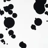 James Welling, Borduas
