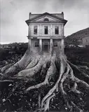 Jerry Uelsmann, Untitled, 1982, Gelatin silver print