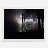 Production Still (Man in the Woods #3) by Gregory Crewdson, 2003, digital c-print, sold Mar 2022