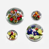 Collection of four paperweights by Rick Ayotte and Melissa Ayotte, sold Feb 2025