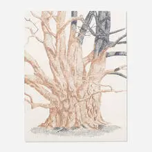 Irving Harper, Untitled (Tree), ink on paper
