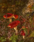 Emma Auguste Løffler, Mushrooms in the Forest, oil on canvas