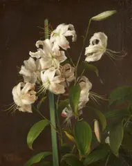 Carl Rohde, Still Life with White Lilies, oil on canvas