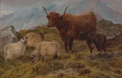 Rca Charles Jones, British sheep and Highland cattle (a group of two), both oil on panel