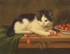 Amanda Lampe, A black and white kitten with a bowl of cherries, oil on canvas