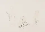 Fay Ku, Parrots; Fish sticks; Birdfight; Untitled; Sea bed (five works), unsigned