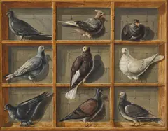 Pigeonnière (Trompe-l'œil) by French School, 19th century, oil on canvas, sold Oct 2024