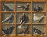 French School, 19th century, Pigeonnière (Trompe-l'œil), oil on canvas