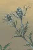 Fulco di Verdura, Thistles, watercolor on translucent paper