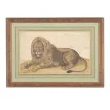 Continental School, 19th Century, Recumbent Lion, watercolor, sepia ink, and whiting on paper