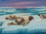 Robert Lindneux, Seals, oil on canvas