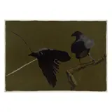 Bryan, Ravens, oil on canvas
