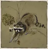 Bryan, Raccoon, Grasses and Leaves, oil on canvas