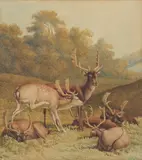 O.W.S. Robert Hills, Deer and doe, watercolour over traces of pencil