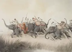 19th Century School, A collection of twenty-one coloured prints depicting scenes of pig sticking and tiger hunting, the original designs by Captain Thomas Williamson