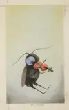 Ota Janeček, Beetle with a Violin