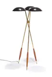 Gerald Thurston, Profile floor light