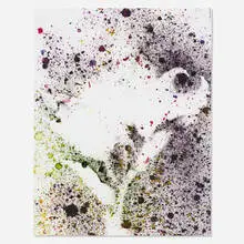 Sam Falls, Untitled (Tiger Lilies), 2013, ink on paper