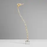 Douglas Little, Untitled (Ostrich vertebrae), 2005, ostrich bones, Lucite