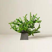 Untitled (Plant) by Irving Harper, painted paper construction, sold Jan 2016