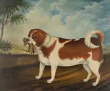 English Provincial School, Portrait of a dog in landscape, oil on canvas