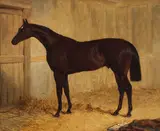 Snr. John Frederick Herring, Foig a Balagh, a bay horse in a stable, oil on panel