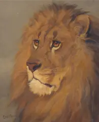 Charles Edwin M. Baldock, Portrait of Cecil the lion, oil on canvas