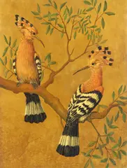 Helen Whitwell, Two hoopoes on a branch, lacquer on panel