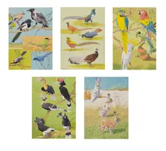 William Neave Parker, A group of animal studies, watercolour and bodycolour over traces of pencil