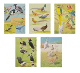 William Neave Parker, A group of animal studies, watercolour and bodycolour over traces of pencil