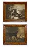 James Northcote Ra, A Spaniel, Mezzotint