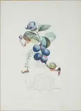 Prunier Hâtif, plate 3 from Flordali (Les Fruits) (Michler & Löpsinger 346; Field 69-11C) by Salvador Dalí, 1969-70, Color lithograph with drypoint on Rives; signed 'Dalí' in pencil lower right, sold Oct 2024