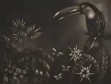 Laurent Schkolnyk, Le grand toucan,, Mezzotint on Rives watermarked paper; signed 'Schkolnyk' in pencil lower right