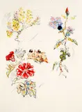 Kostia Terechkovitch, Fleurs (Terechkovitch 119), 1961, Color lithograph on Japan paper; titled on an unidentified label affixed to the verso; framed